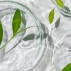 プライバシーポリシー